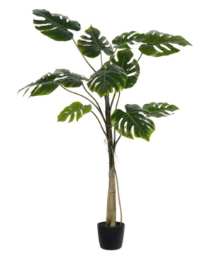 Vickerman 54
