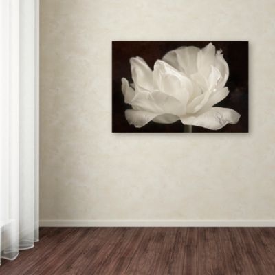 Cora Niele 'White Tulip III' Canvas Art, 30" x 47"