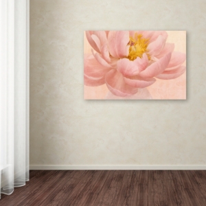 Trademark Global Cora Niele 'pink Peony' Canvas Art, 12" X 19" In Open Misce