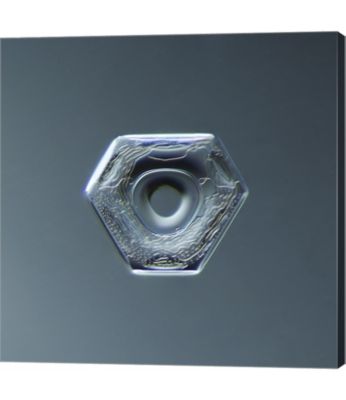 Metaverse
