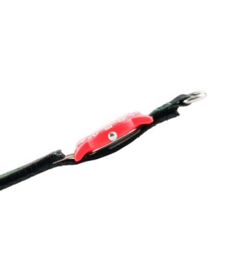 ewatchfactory Red Balloon Dinosaur Boys' Red Plastic Time Teacher Watch