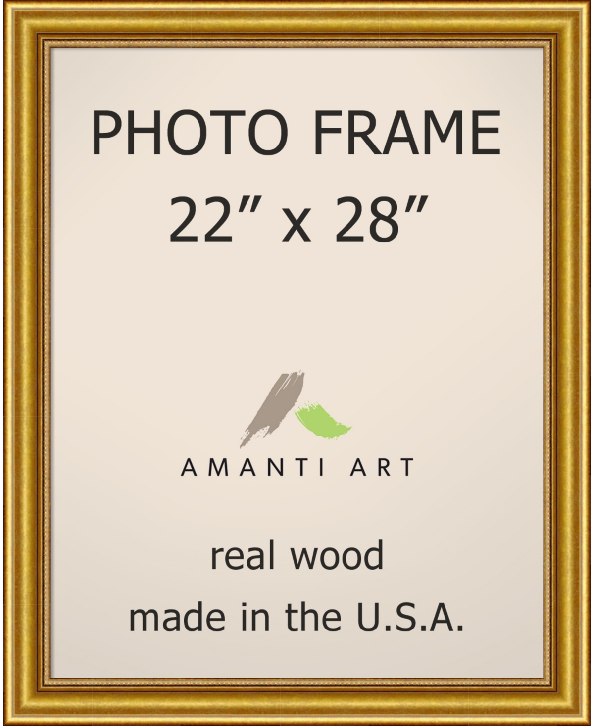 Amanti Art Townhouse Gold 22 X 28 Opening Wall Picture Photo Frame