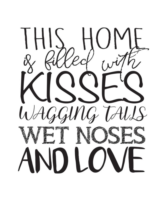 Brewster Home Fashions Wagging Tails And Wet Noses Wall Quote & Reviews - Wall Art - Macy's