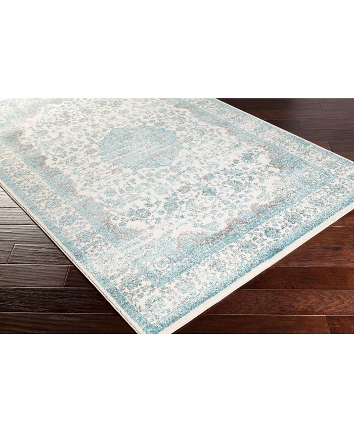 Surya Aberdine ABE8005 Aqua 2' x 3' Area Rug Macy's