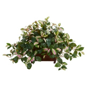 Nearly Natural Hoya Artificial Plant In Decorative Planter In Green