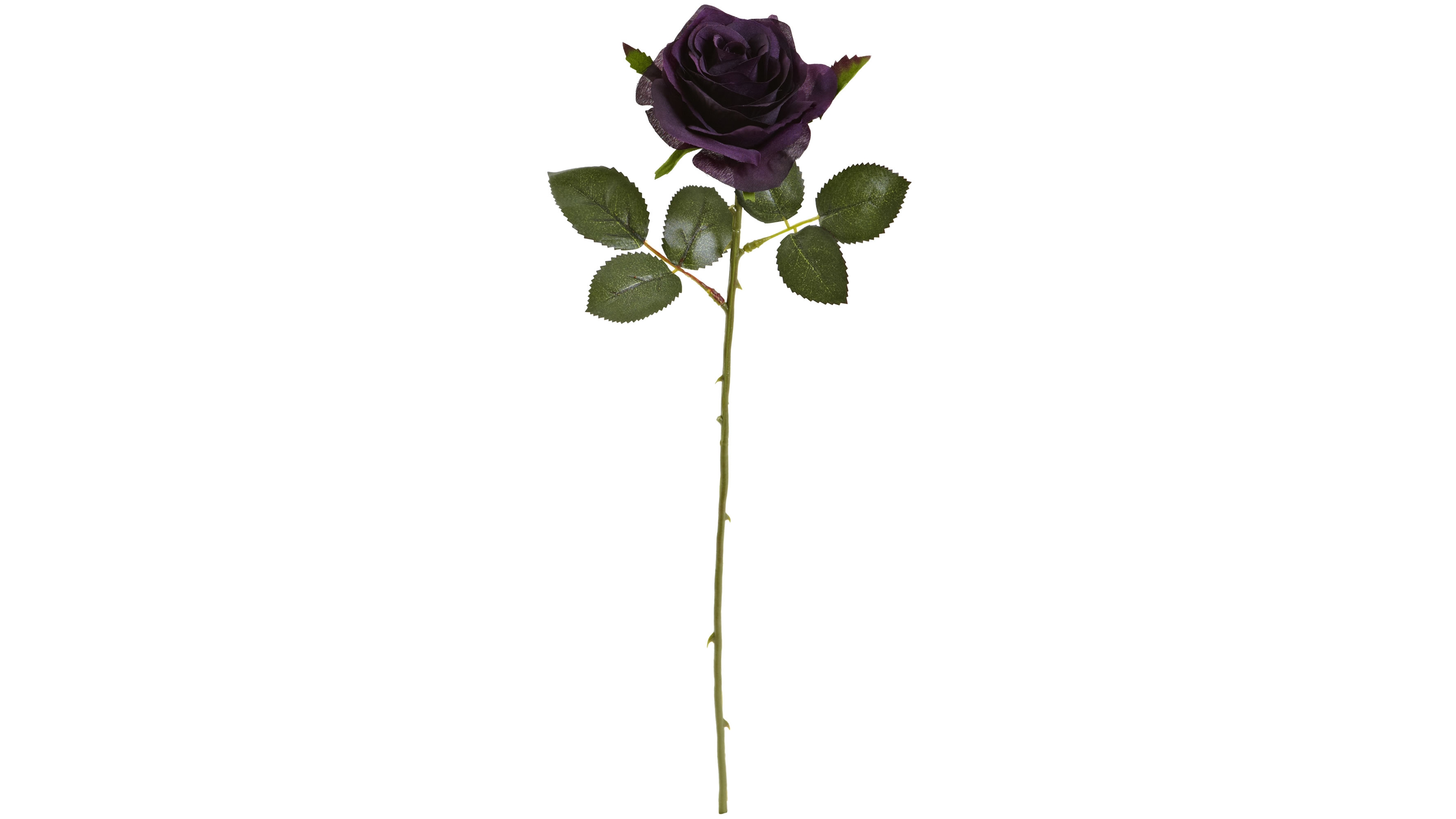 Nearly Natural 18" Rose Artificial Flower, Set of 24