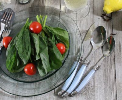 Laguiole 20 Piece Stainless Steel Flatware Set, Service for 4