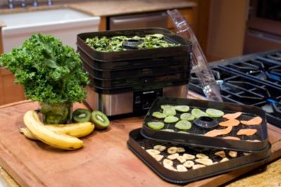 6 Tray Digital Food Dehydrator - 75-0401-W