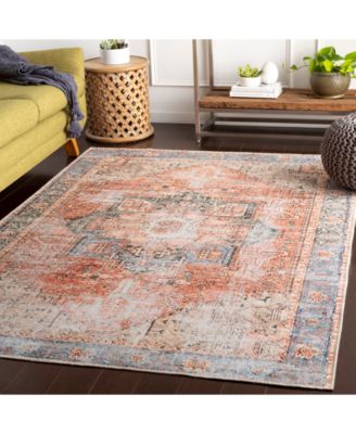 Amelie AML-2309 Rose Machine-Washable 2' x 3' Area Rug
