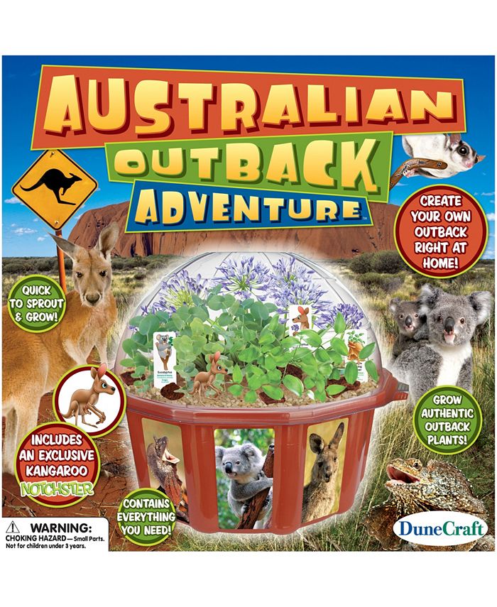 DuneCraft Dome Terrarium Austrailian Outback Adventure & Reviews
