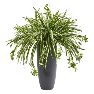 NEARLY NATURAL 33" SPIDER ARTIFICIAL PLANT IN CYLINDER PLANTER 