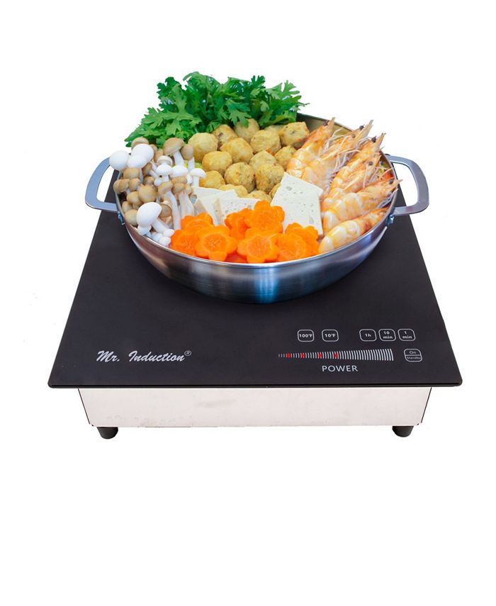 SPT Appliance Inc. SPT 2600W BuiltIn Induction Cooker Macy's