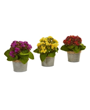 Nearly Natural Kalanchoe Artificial Arrangements, Set Of 3 In Multi