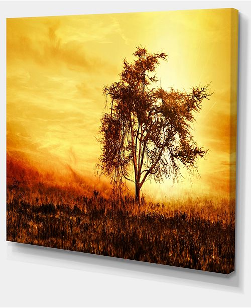Designart African Tree Silhouette Landscape Photo Canvas Art Print 40 X 30