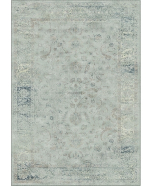 Safavieh Vintage Light Blue 5'3