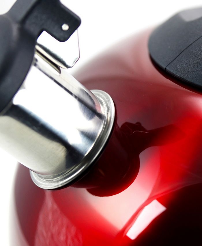 Megagoods Mr. Coffee Collinsbrook 2.4 Quart Stainless Steel Whistling