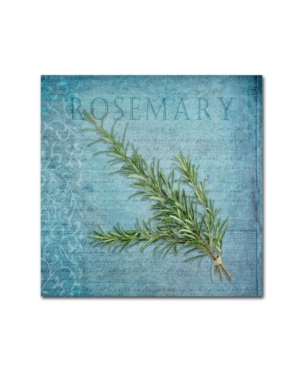 Trademark Global Cora Niele 'classic Herbs Rosemary' Canvas Art In Multi