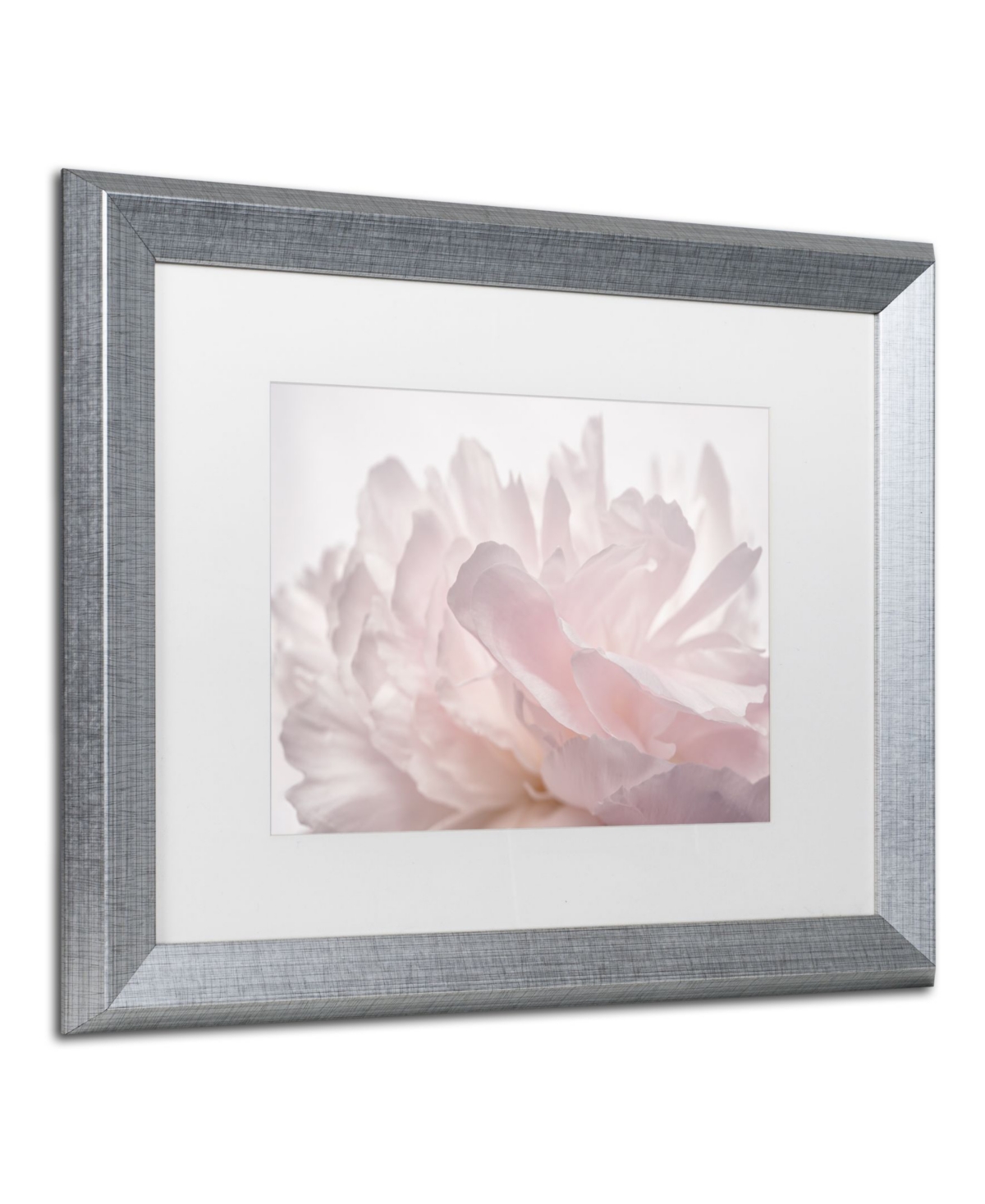 Cora Niele 'Pink Peony Petals V' Matted Framed Art - 0.5