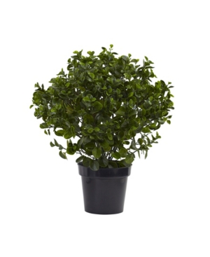 NEARLY NATURAL 28" PEPEROMIA PLANT UV RESISTANT 