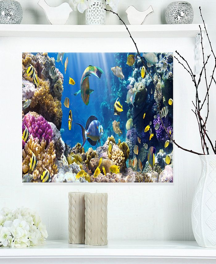 Design Art Designart 'Fish In Coral Reef' Seascape Photography Metal ...