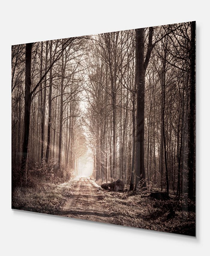 Design Art Designart 'Forest Trail In Sepia' Landscape Photography