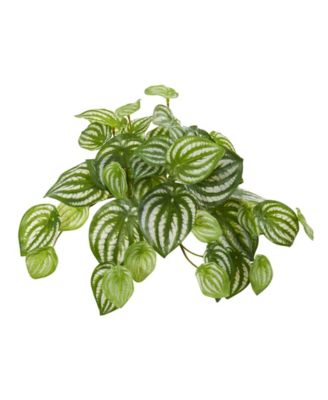 Nearly Natural - 11” Watermelon Peperomia Hanging Artificial Bush Plant (Set of 12) (Real Touch)