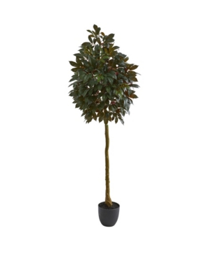 Nearly Natural 75" Capensia Ficus Artificial Tree In Green