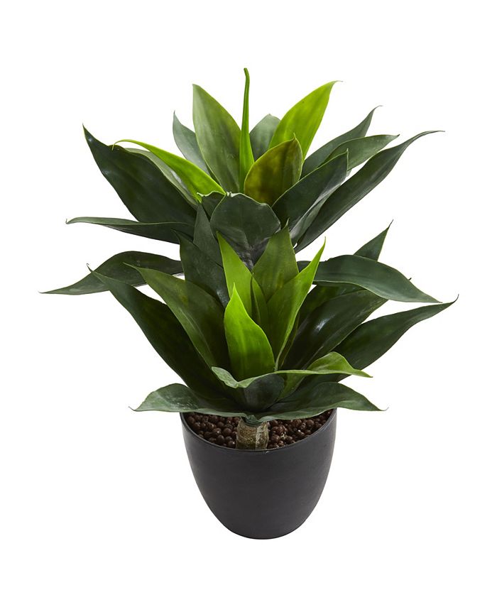 Nearly Natural - 21” Agave Artificial Plant
