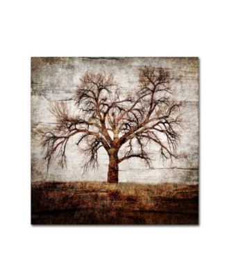 lightbox Journal 'Cottonwood Tree Part 01' Canvas Art - 24" x 24" x 2 ...