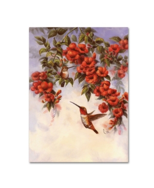 Trademark Global Wanda Mumm 'hummingbird E' Canvas Art In Multi