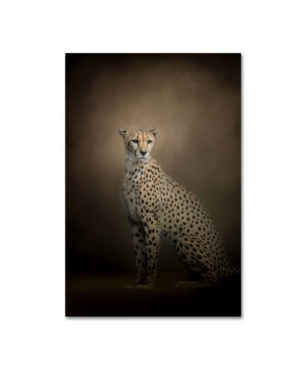 Trademark Global Jai Johnson 'the Elegant Cheetah' Canvas Art In Multi
