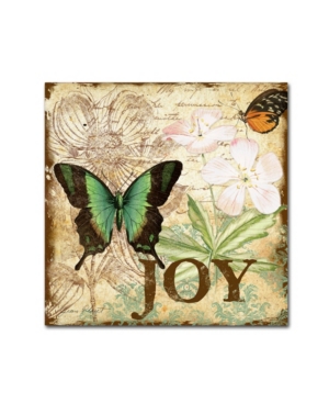 Trademark Global Jean Plout 'butterflies 4' Canvas Art In Multi