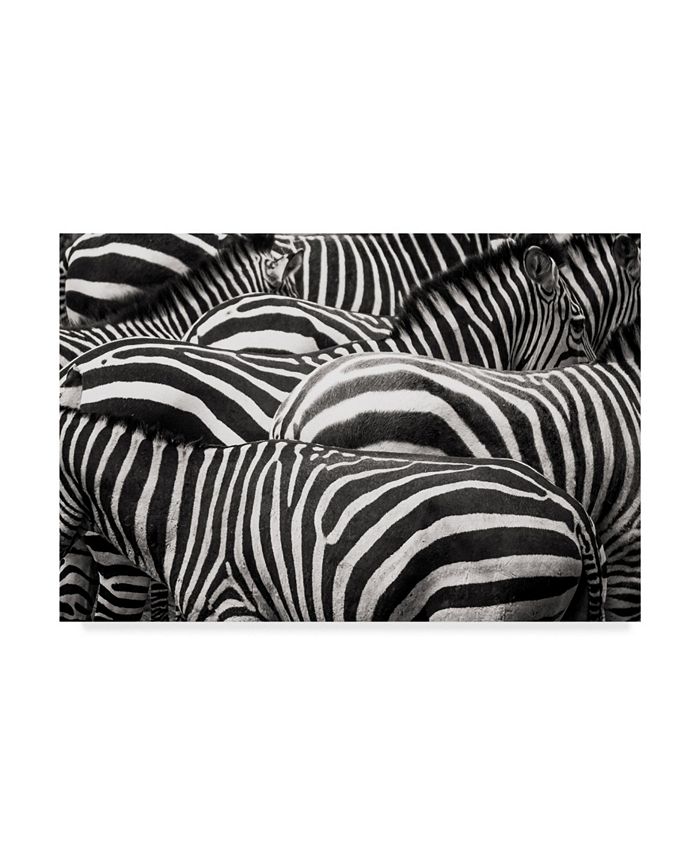 Trademark Global Roelof De Hoog Together Zebra Canvas Art 24