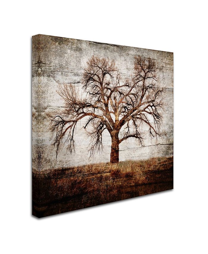 Trademark Global lightbox Journal 'Cottonwood Tree Part 01' Canvas Art ...