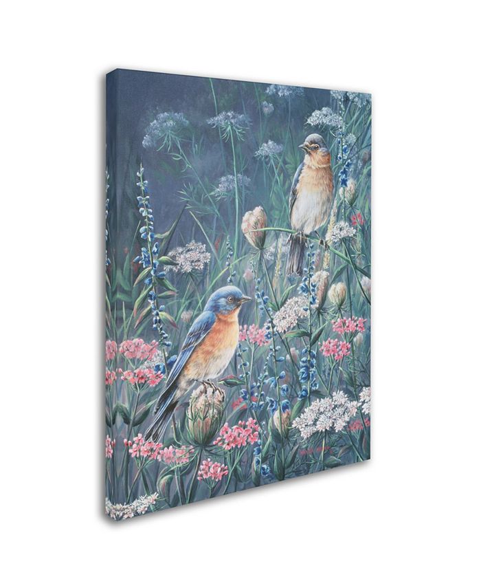 Trademark Global Wanda Mumm 'Bluebird And Wildflowers' Canvas Art - 32 ...