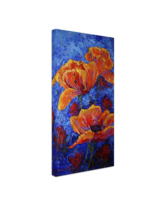 Trademark Global Marion Rose 'Poppies II' Canvas Art - 24