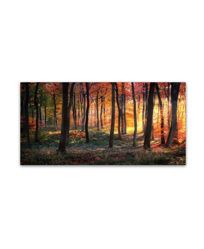 Trademark Global Photokes 'Autumn Woodland Sunrise' Canvas Art - 24