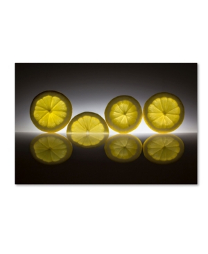 Trademark Global Wieteke De Kogel 'lemon' Canvas Art In Multi