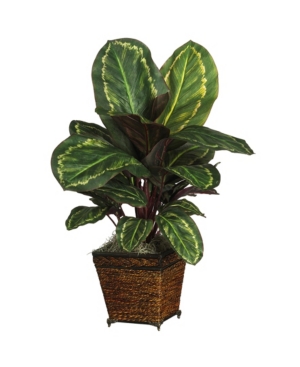 Nearly Natural Maranta W/basket Silk Plant In Green