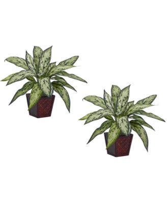 Nearly Natural - Silver Queen Silk Plant, Set of 2