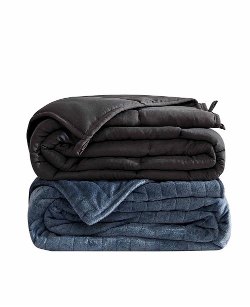 Dream Theory 20lb Microfiber Weighted Blanket With Minky Cover