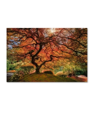 Trademark Global Moises Levy 'the Tree Horizontal' Canvas Art In Multi