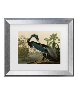 Trademark Global John James Audubon 'louisiana Heron' Matted Framed Art In Multi