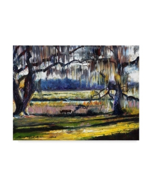 Trademark Global Lucy P. Mctier 'lowcountry Spanish Moss Escape' Canvas Art In Multi