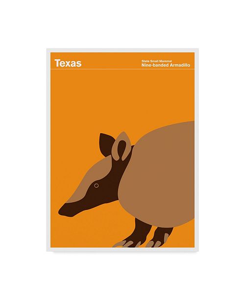 Trademark Global Print Collection Artist Texas Armadillo