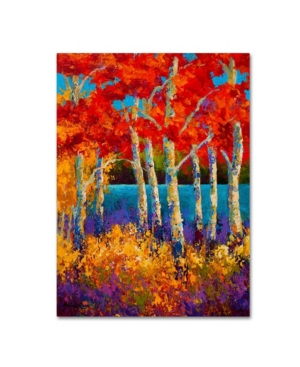 Trademark Global Marion Rose 'summers End' Canvas Art In Multi