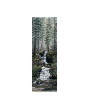 Trademark Global Jeff Tift 'cascade Wolves' Canvas Art In Multi