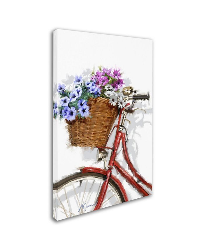 Trademark Global The Macneil Studio 'Bicycle With Basket' Canvas Art ...