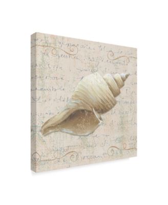 Lisa Audit 'Coastal Beauty III' Canvas Art - 18" x 18"