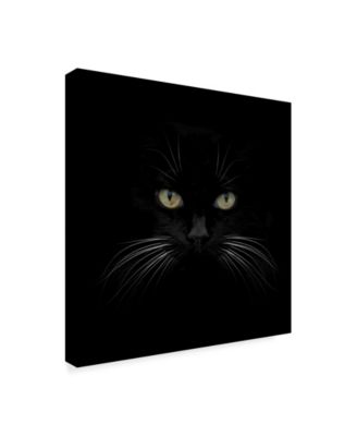Lori Hutchison 'Black Cat Centered' Canvas Art - 18" x 18"